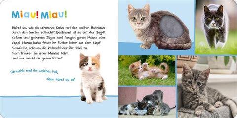 9783845829401 - Sample content