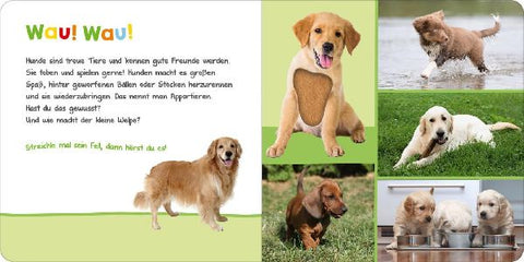 9783845829401 - Sample content