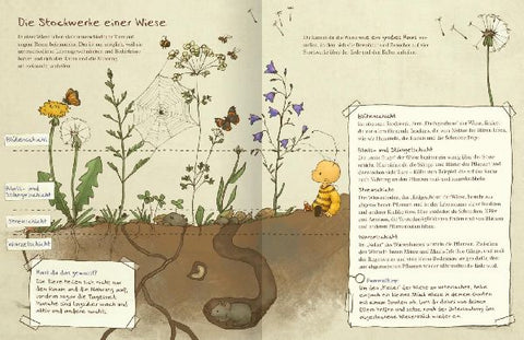 9783845830131 - Sample content