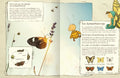 9783845830131 - Sample content