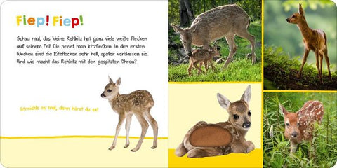 9783845833910 - Sample content