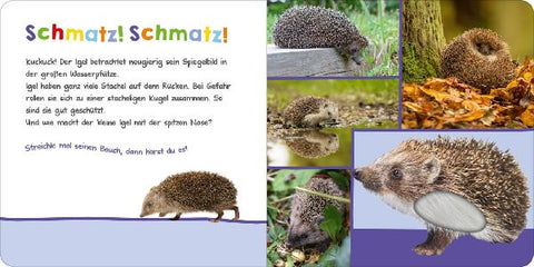 9783845835006 - Sample content