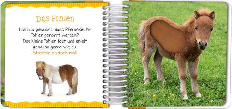 9783845837468 - Sample content