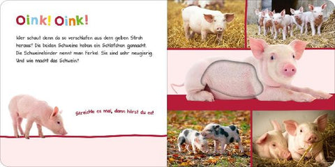 9783845837499 - Sample content