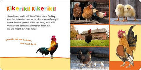 9783845837499 - Sample content