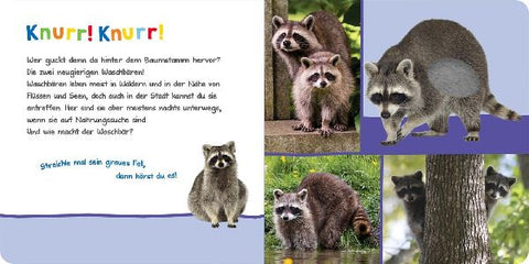 9783845840673 - Sample content