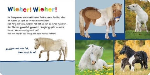 9783845840673 - Sample content