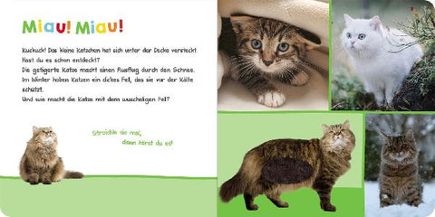 9783845840673 - Sample content