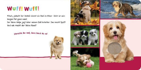 9783845840673 - Sample content