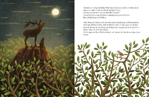 9783845841144 - Sample content