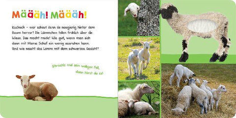 9783845842905 - Sample content