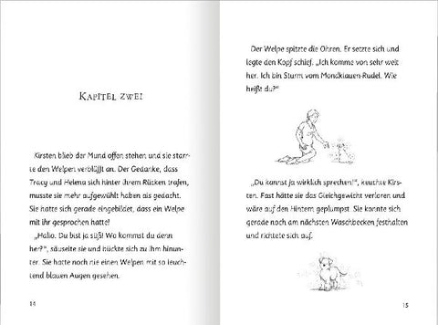 9783845844985 - Sample content