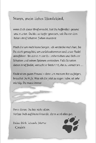 9783845844985 - Sample content