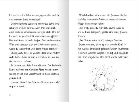 9783845845005 - Sample content