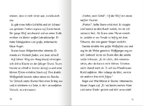 9783845845005 - Sample content