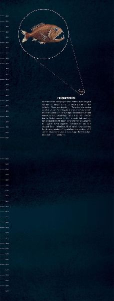 9783845847931 - Sample content