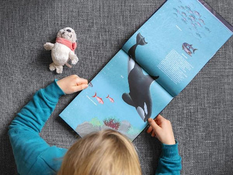 9783845847931 - Sample content