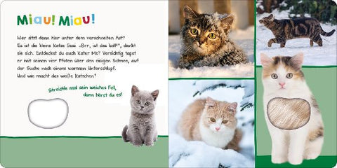 9783845848082 - Sample content