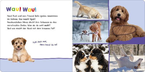 9783845848082 - Sample content
