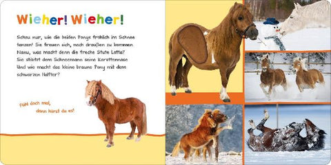 9783845848082 - Sample content