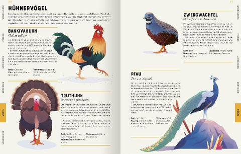 9783845848297 - Sample content