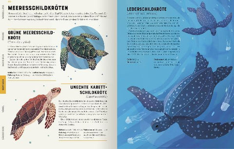 9783845848297 - Sample content