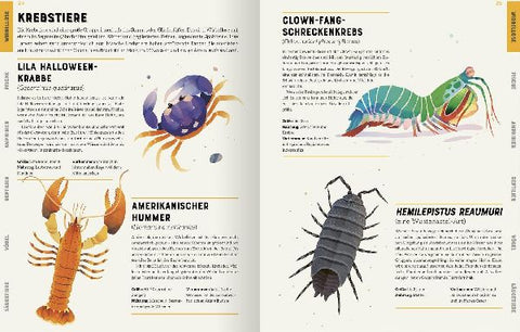 9783845848297 - Sample content