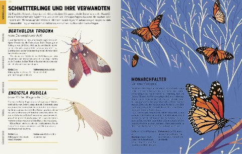 9783845848297 - Sample content