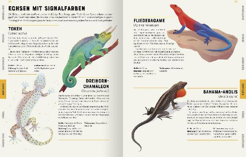 9783845848297 - Sample content