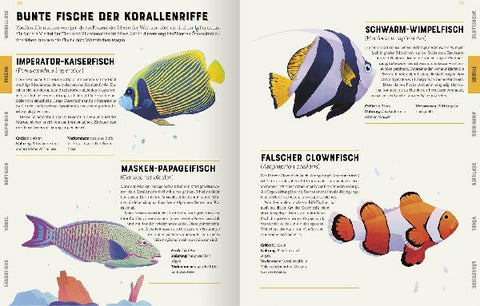 9783845848297 - Sample content