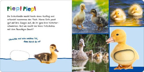 9783845851082 - Sample content