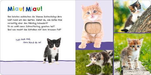 9783845851082 - Sample content