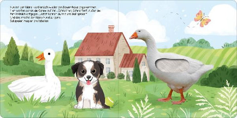 9783845851587 - Sample content