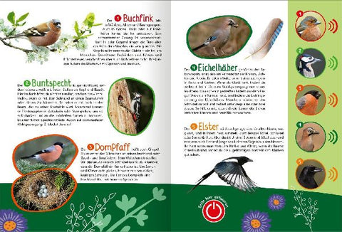 9783845852669 - Sample content