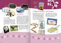 9783845854595 - Sample content