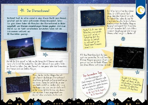 9783845854618 - Sample content