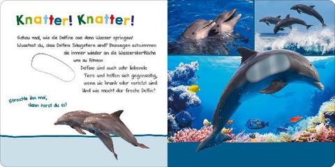 9783845855196 - Sample content