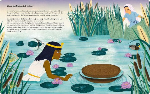 9783845855271 - Sample content