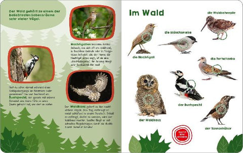 9783845855325 - Sample content