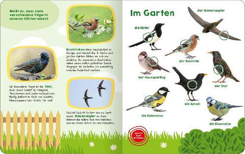 9783845855325 - Sample content