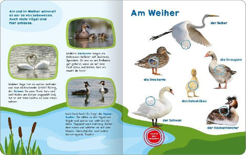 9783845855325 - Sample content