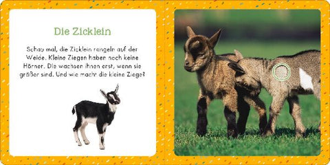 9783845855349 - Sample content