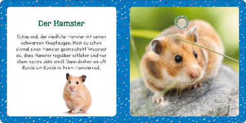 9783845855356 - Sample content