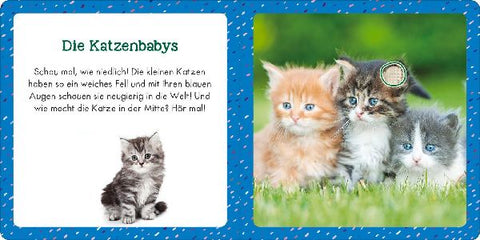 9783845855363 - Sample content