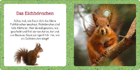 9783845855370 - Sample content