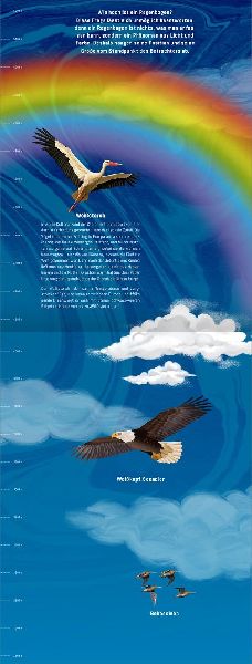 9783845855424 - Sample content