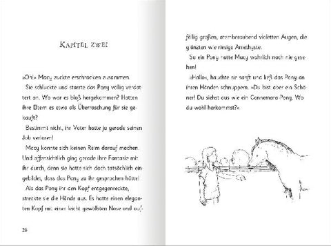 9783845856056 - Sample content