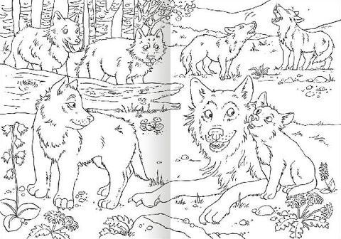 9783845856216 - Sample content