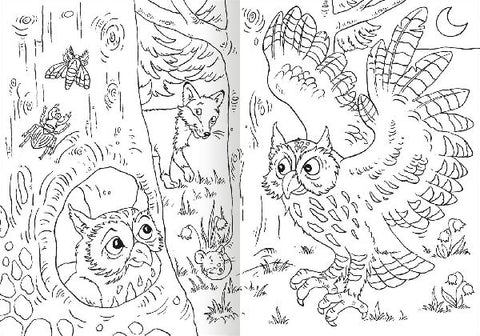 9783845856216 - Sample content