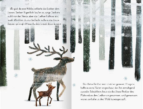 9783845856247 - Sample content